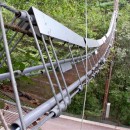 歯ブラシ集め、リスの橋　十勝歯科医師会のプロジェクト始動